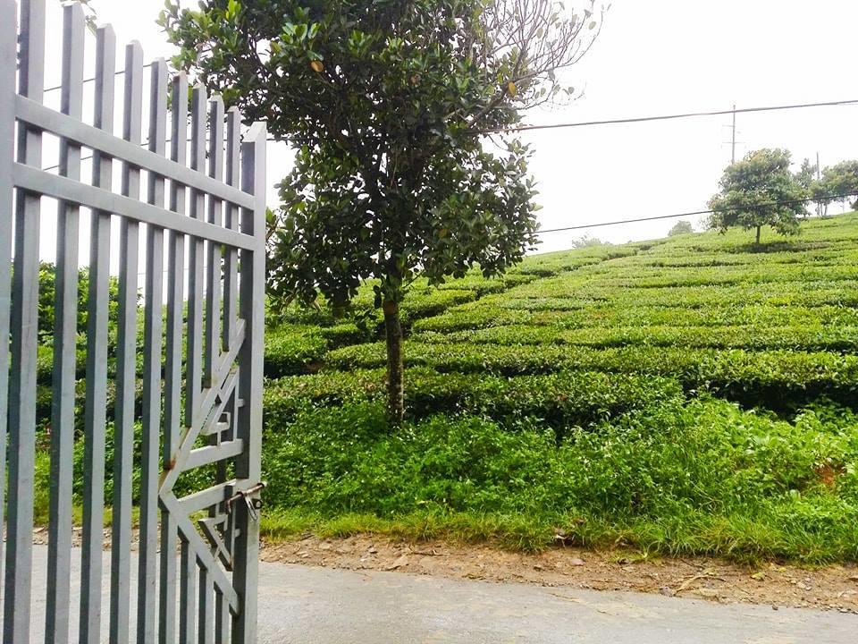 Homestay Moc Chau Exterior foto